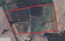 Działka rolna Ostrzyca. Zdjęcie 3