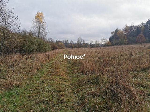 Działka Studzianki, ul. Polonijna. Zdjęcie 3