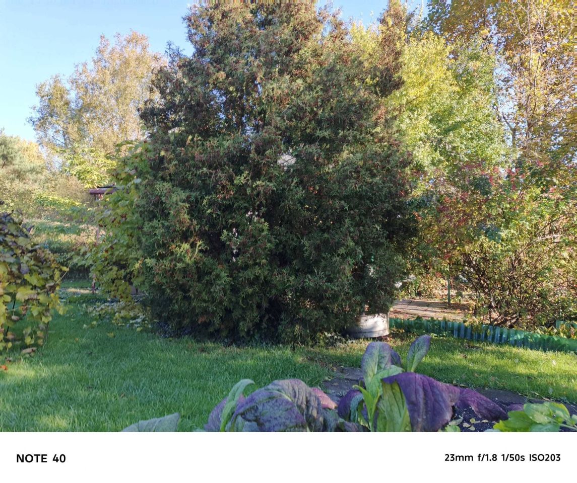 Działka rod Wołomin. Zdjęcie 5