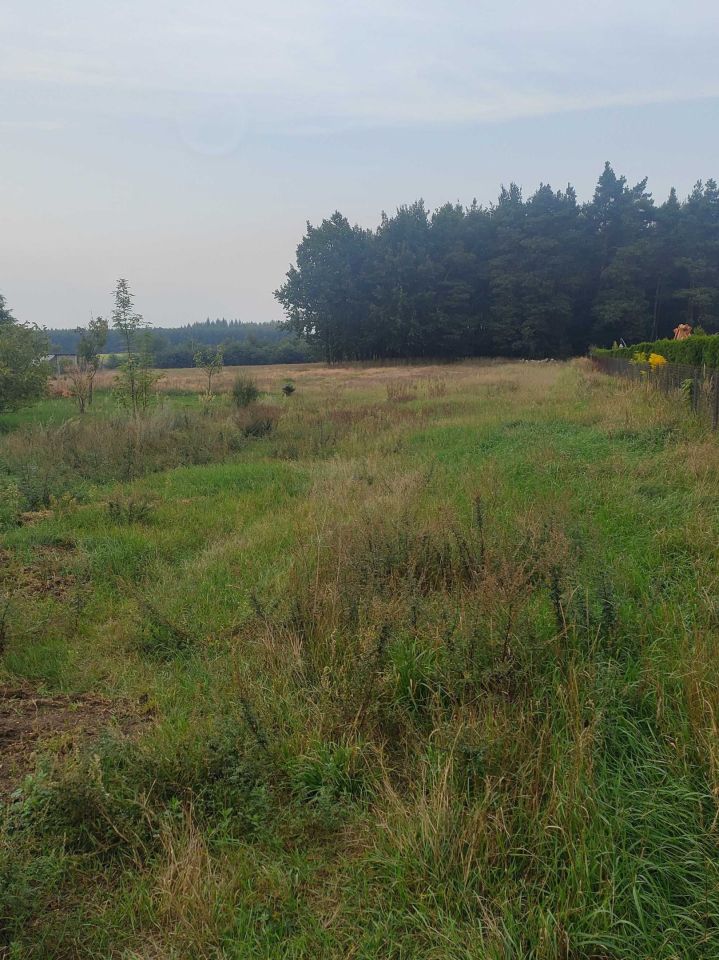 Działka budowlana Adamów. Zdjęcie 2