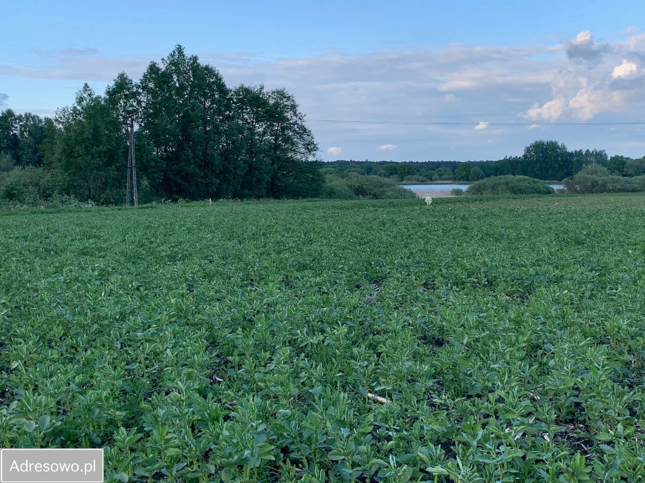 Działka budowlana Mielno. Zdjęcie 19