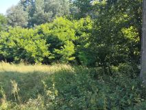 Działka rekreacyjna Pałki. Zdjęcie 2