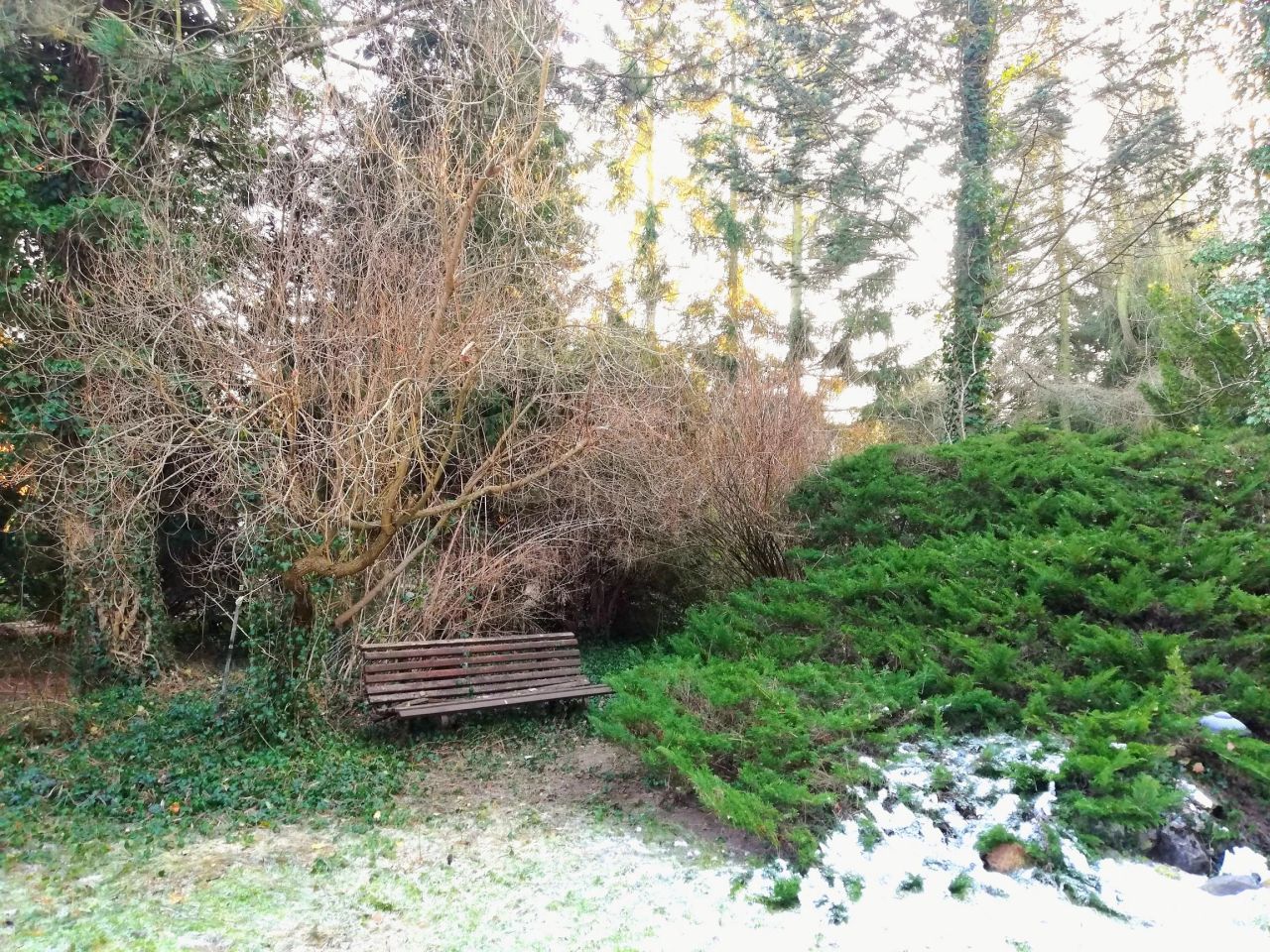 Działka rekreacyjna Bugaj Barcinek, ul. Kasztanowa. Zdjęcie 4