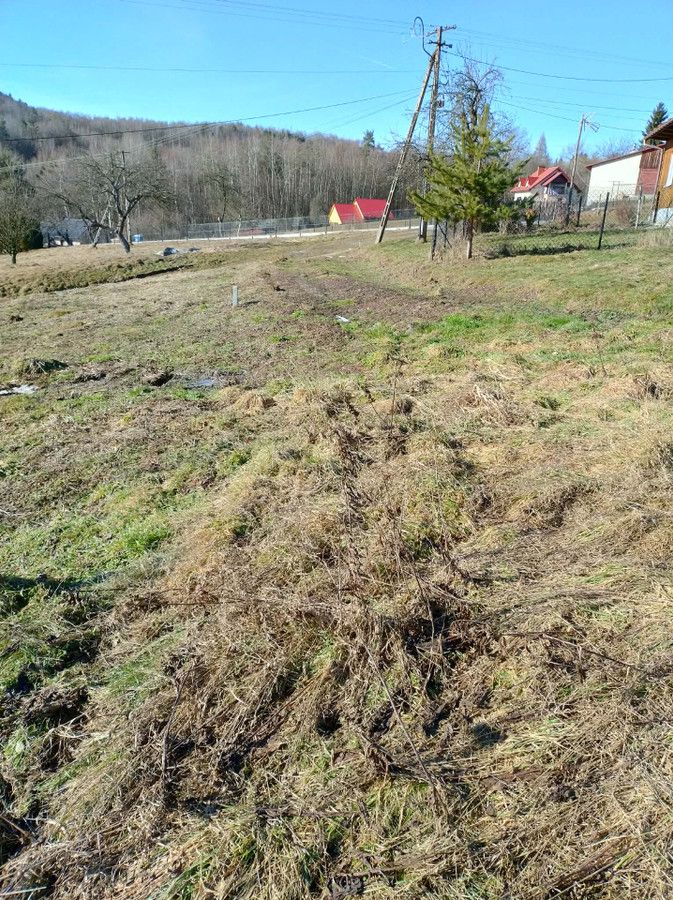 Działka rolna Ruda Kameralna. Zdjęcie 3