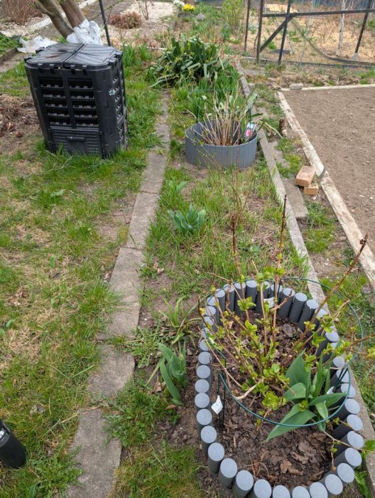 Działka rod Gdynia Mały Kack. Zdjęcie 2