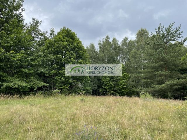 Działka Nowa Wieś Przywidzka. Zdjęcie 4