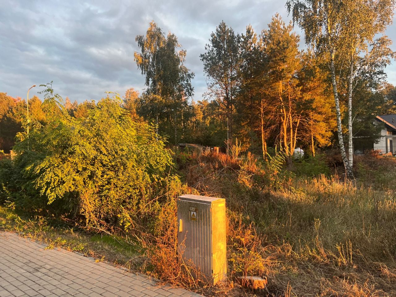 Działka budowlana Domaniewice, ul. Brzozowa. Zdjęcie 3