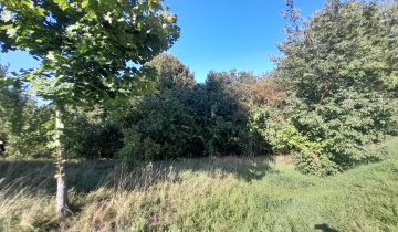 Działka rolno-budowlana Tuchlin