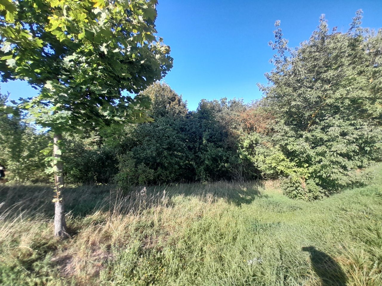 Działka rolno-budowlana Tuchlin. Zdjęcie 2