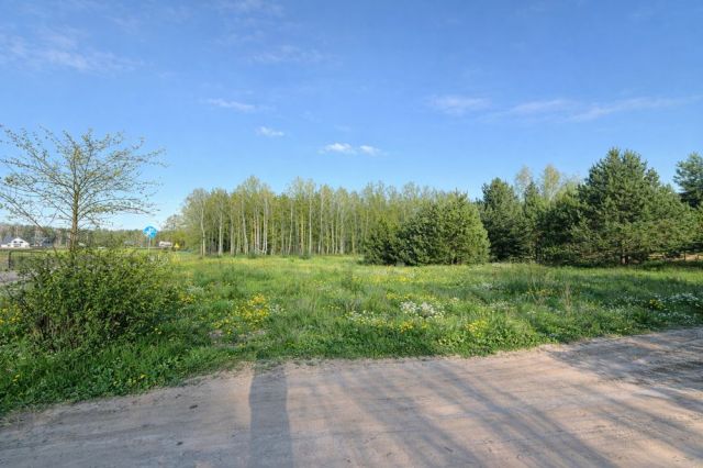 Działka budowlana Zbuczyn, ul. Poziomkowa. Zdjęcie 1