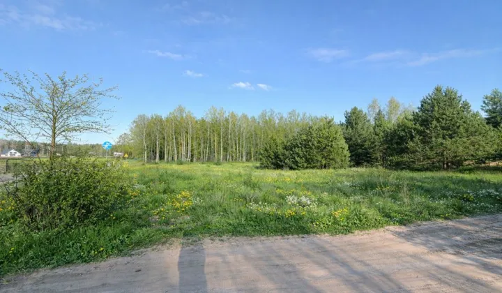 Działka budowlana Zbuczyn, ul. Poziomkowa