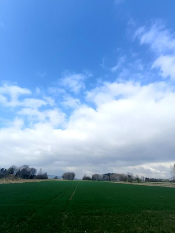 Działka budowlana Świerzowa Polska. Zdjęcie 5