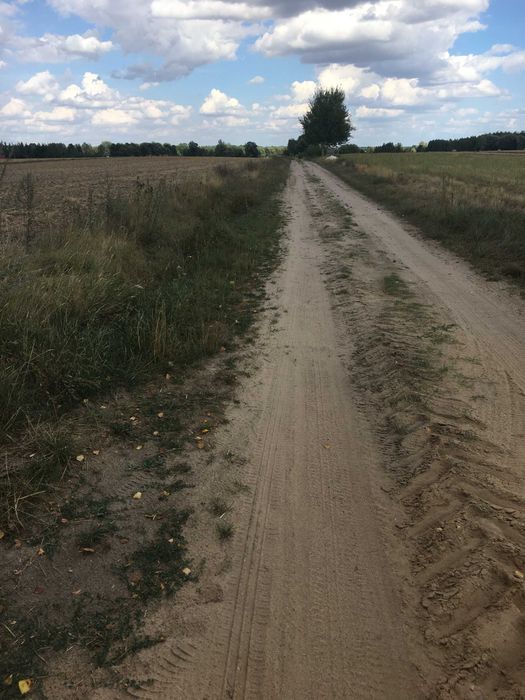 Działka rekreacyjna Popielżyn-Zawady. Zdjęcie 7