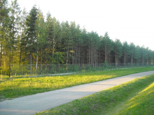 Działka leśna Biecz. Zdjęcie 1
