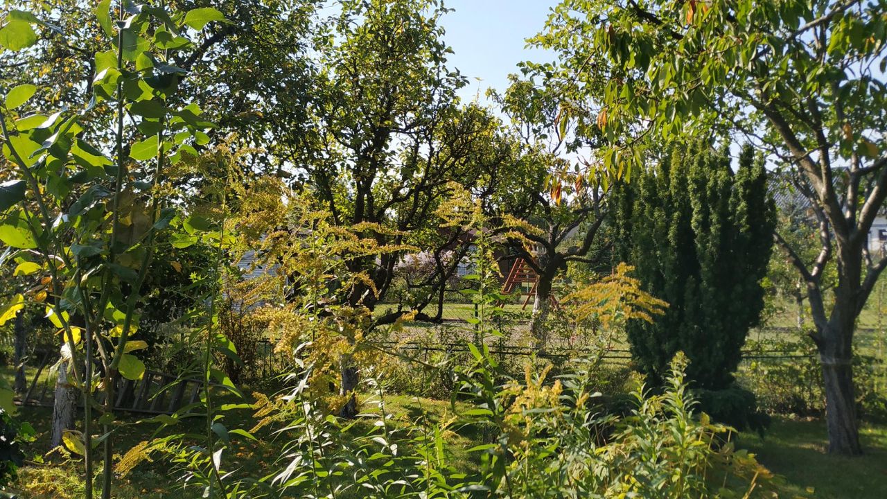 Działka rod Piła Gładyszewo, ul. Polna. Zdjęcie 8