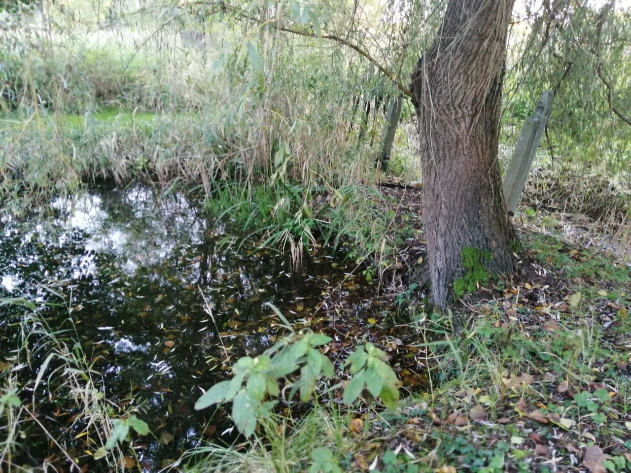budynek wielorodzinny, 8 pokoi Imielin, ul. ks. Pawła Pośpiecha. Zdjęcie 17