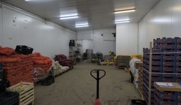 Hala/magazyn Kielce, ul. Zbożowa