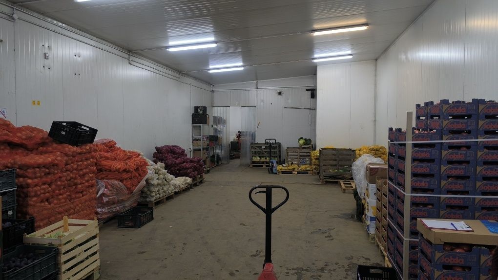 Hala/magazyn Kielce, ul. Zbożowa. Zdjęcie 2