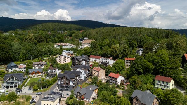 dom wolnostojący, 14 pokoi Szklarska Poręba. Zdjęcie 8
