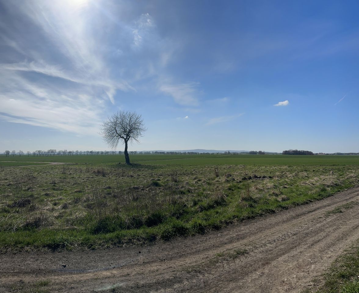 Działka rolna Snowidza. Zdjęcie 7