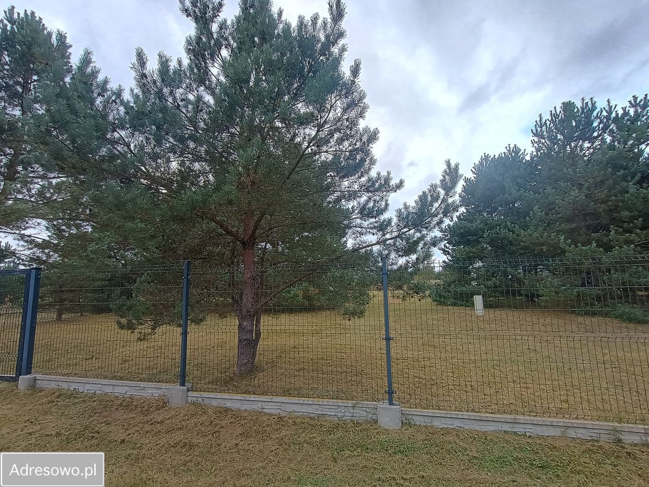 Działka rekreacyjna Drzonowo. Zdjęcie 9