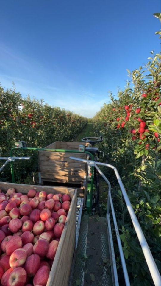 Działka rolna Gnieszowice. Zdjęcie 3