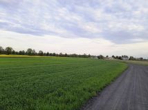 Działka budowlana Miąskowo, Miąskowo. Zdjęcie 1