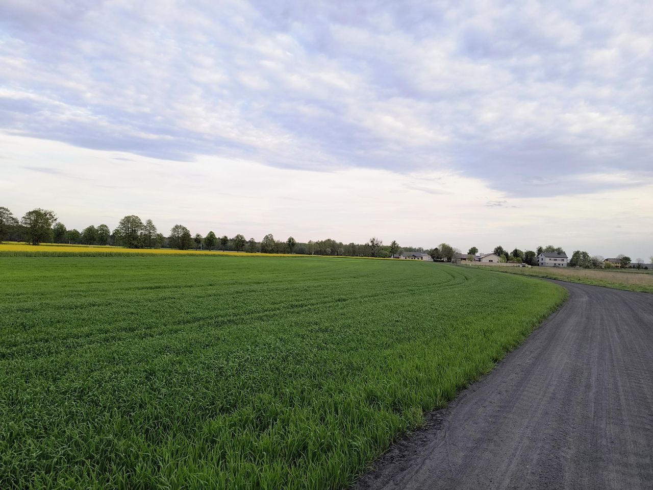 Działka budowlana Miąskowo, Miąskowo. Zdjęcie 2