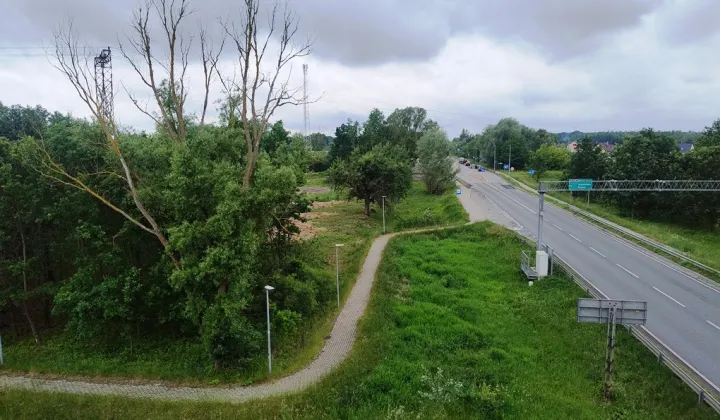 Działka inwestycyjna Jasiorówka