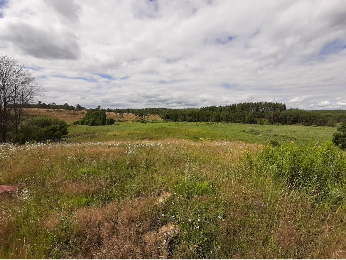 Działka rolno-budowlana Rakowo. Zdjęcie 1