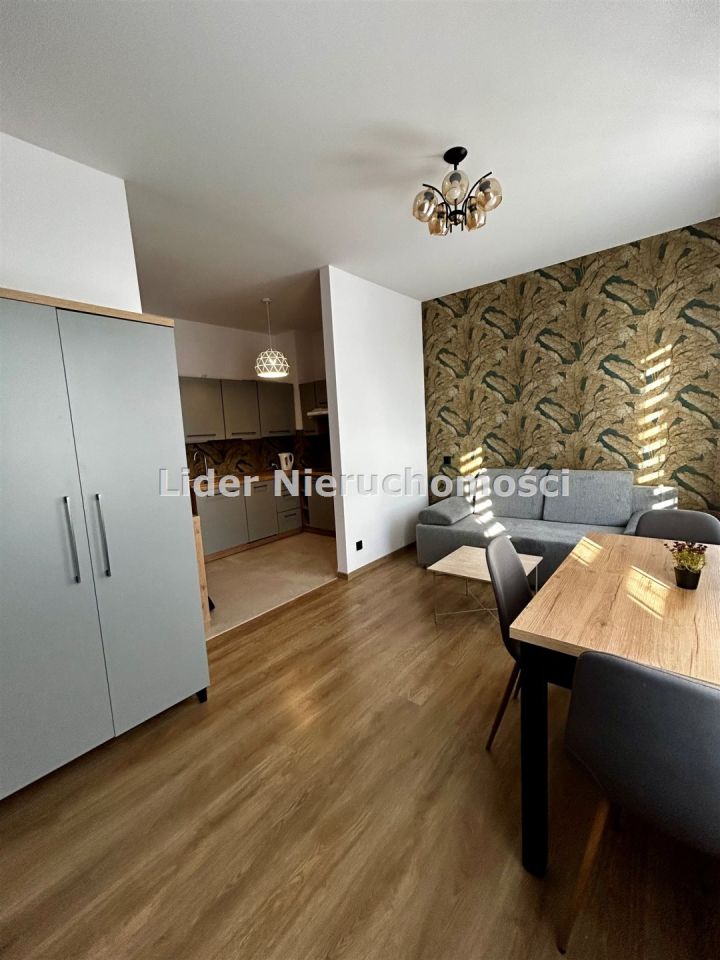 Mieszkanie 1-pokojowe Pabianice, ul. Chłodna