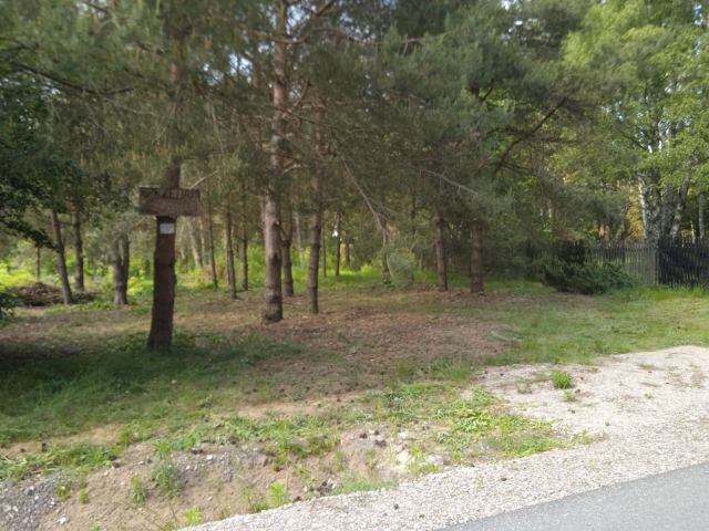 Działka budowlana Borowiec. Zdjęcie 1