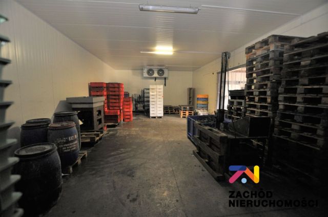 Hala/magazyn Zielona Góra. Zdjęcie 15
