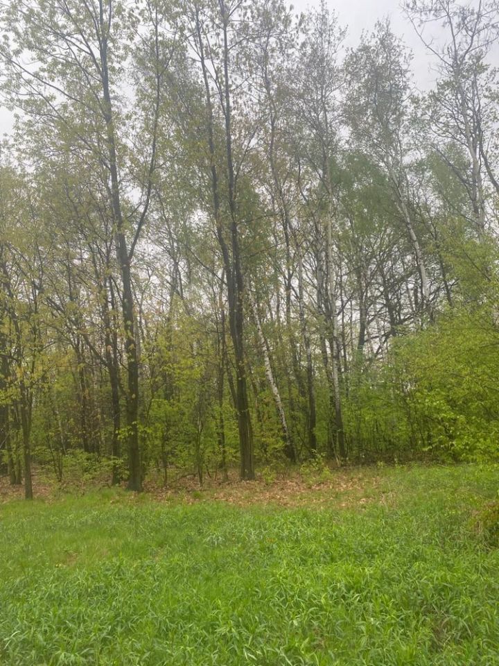 Działka rolno-budowlana Bielcza. Zdjęcie 3