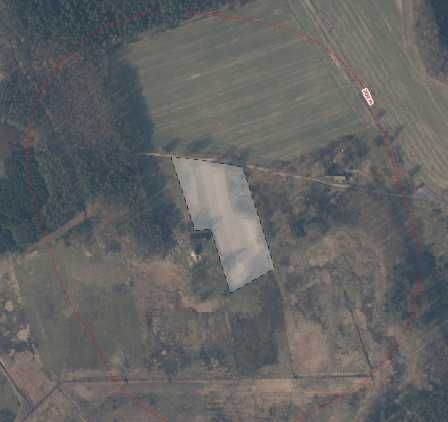 Działka rolno-budowlana Dąbrowa Nowogardzka. Zdjęcie 2