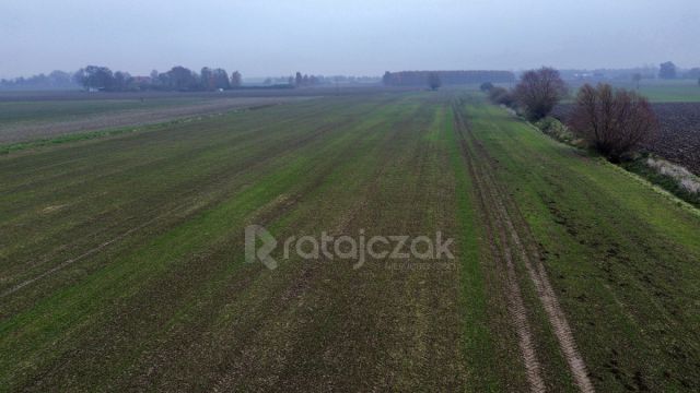 Działka budowlana Drewnica, ul. Wierzbowa. Zdjęcie 14