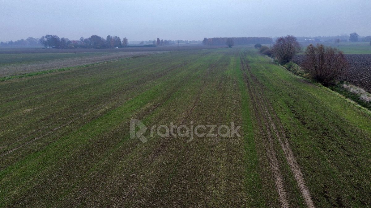 Działka budowlana Drewnica, ul. Wierzbowa. Zdjęcie 14
