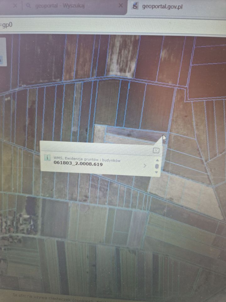 Działka rolna Jurów. Zdjęcie 4