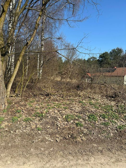 Działka rekreacyjna Nowa Wieś. Zdjęcie 3