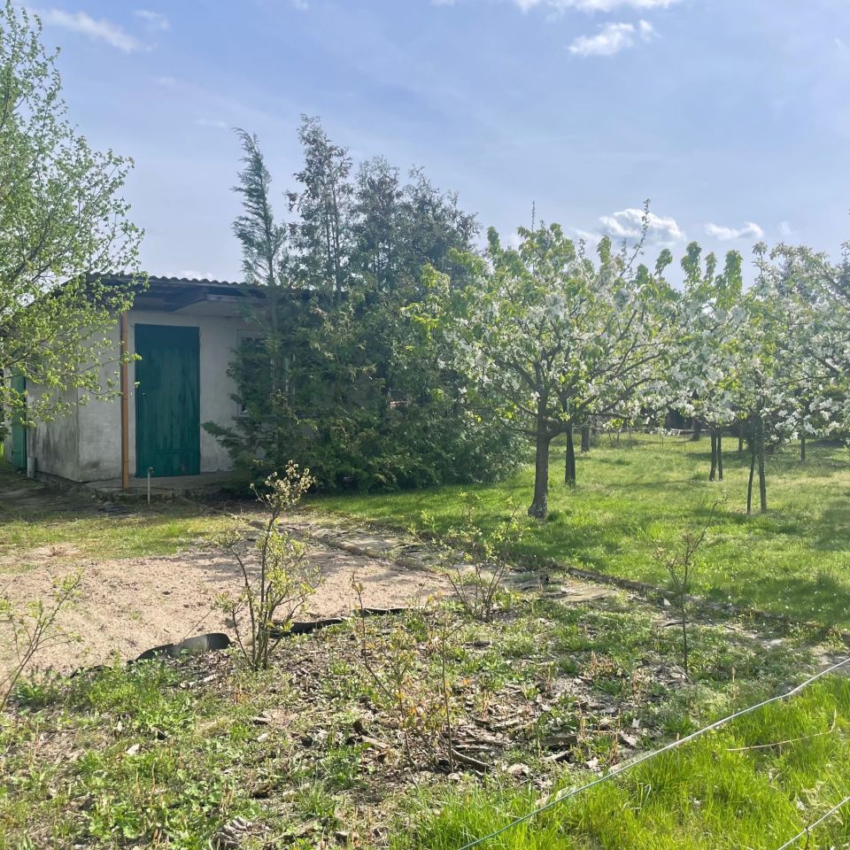 Działka rekreacyjna Międzychód. Zdjęcie 4