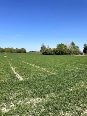 Działka budowlana Drużyny. Zdjęcie 1