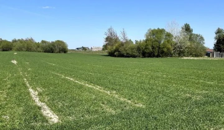 Działka budowlana Drużyny