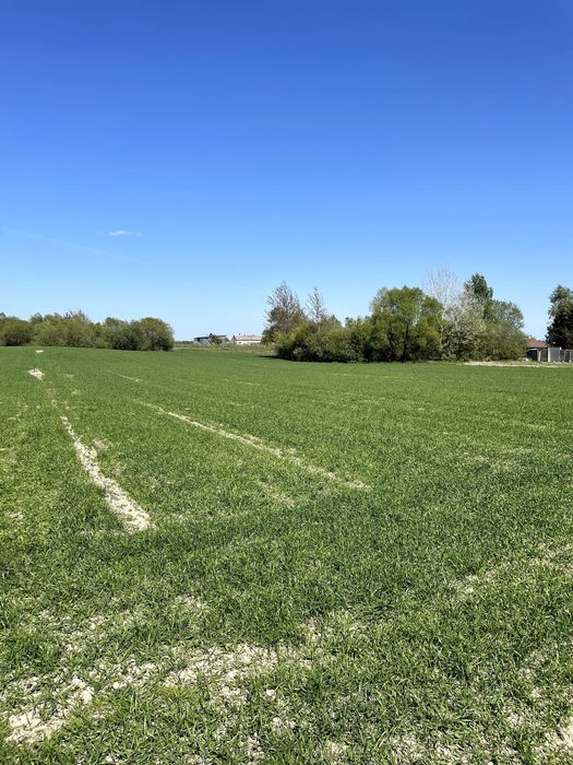 Działka budowlana Drużyny. Zdjęcie 1