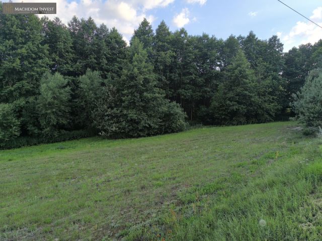 Działka budowlana Bartniczka. Zdjęcie 8