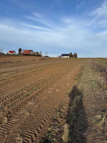 Działka budowlana Dąbrowica. Zdjęcie 1