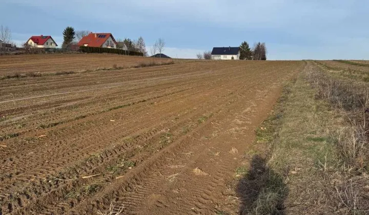 Działka budowlana Dąbrowica