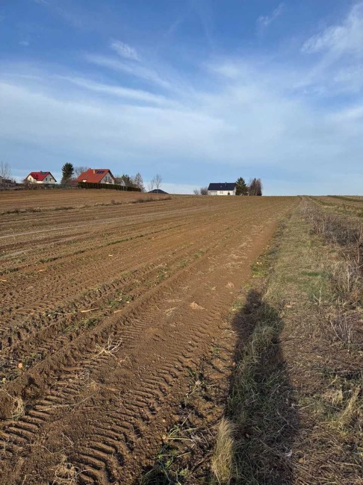 Działka budowlana Dąbrowica