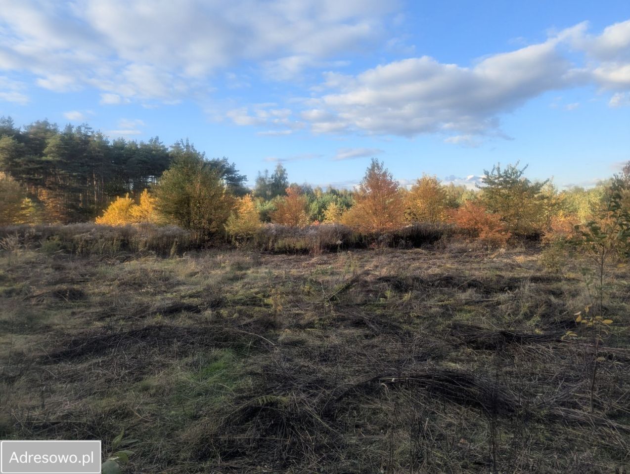 Działka budowlana Żółwin, ul. Tiulowa. Zdjęcie 5