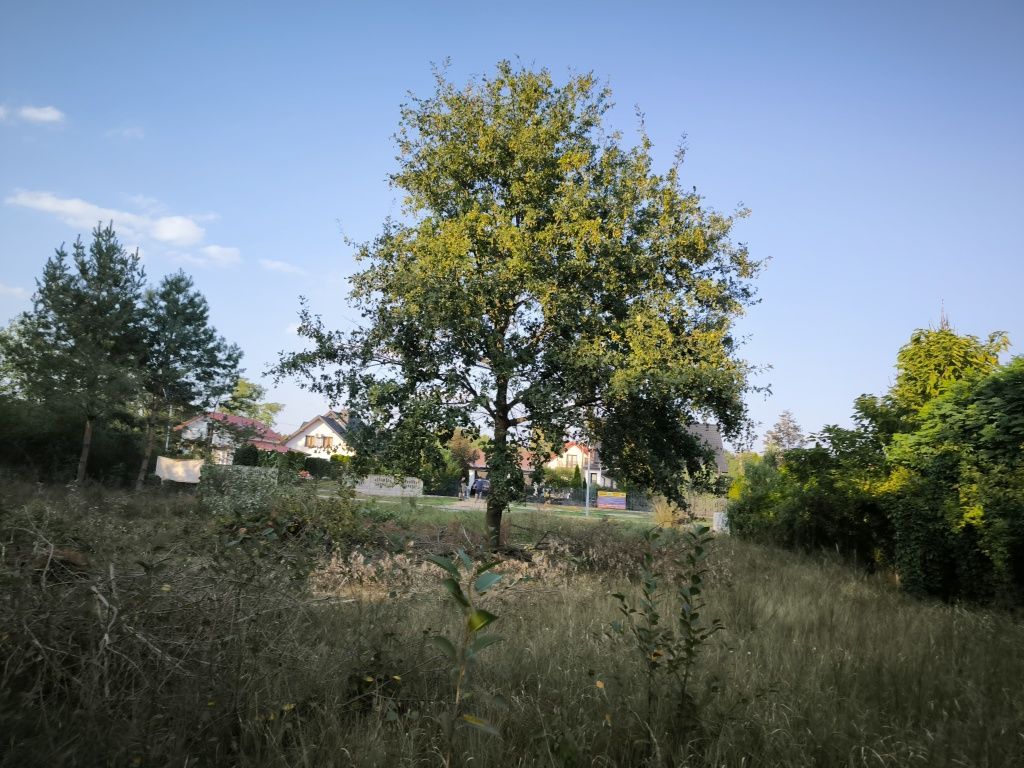 Działka budowlana Juliszew. Zdjęcie 4