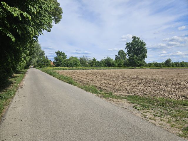 Działka budowlana Czermno. Zdjęcie 5